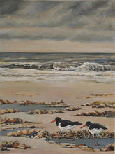 Load image into Gallery viewer, Walking The Shoreline (Oystercatchers)
