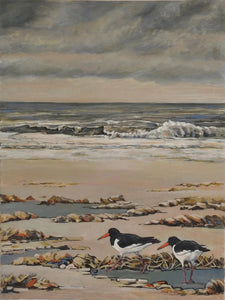 Walking The Shoreline (Oystercatchers)