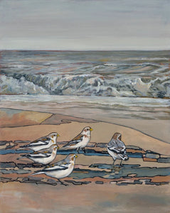 Snow Buntings