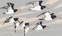 Load image into Gallery viewer, Oystercatchers' Away Day

