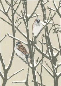 Winter House Sparrows