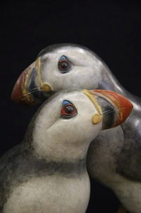 Pair of Puffins