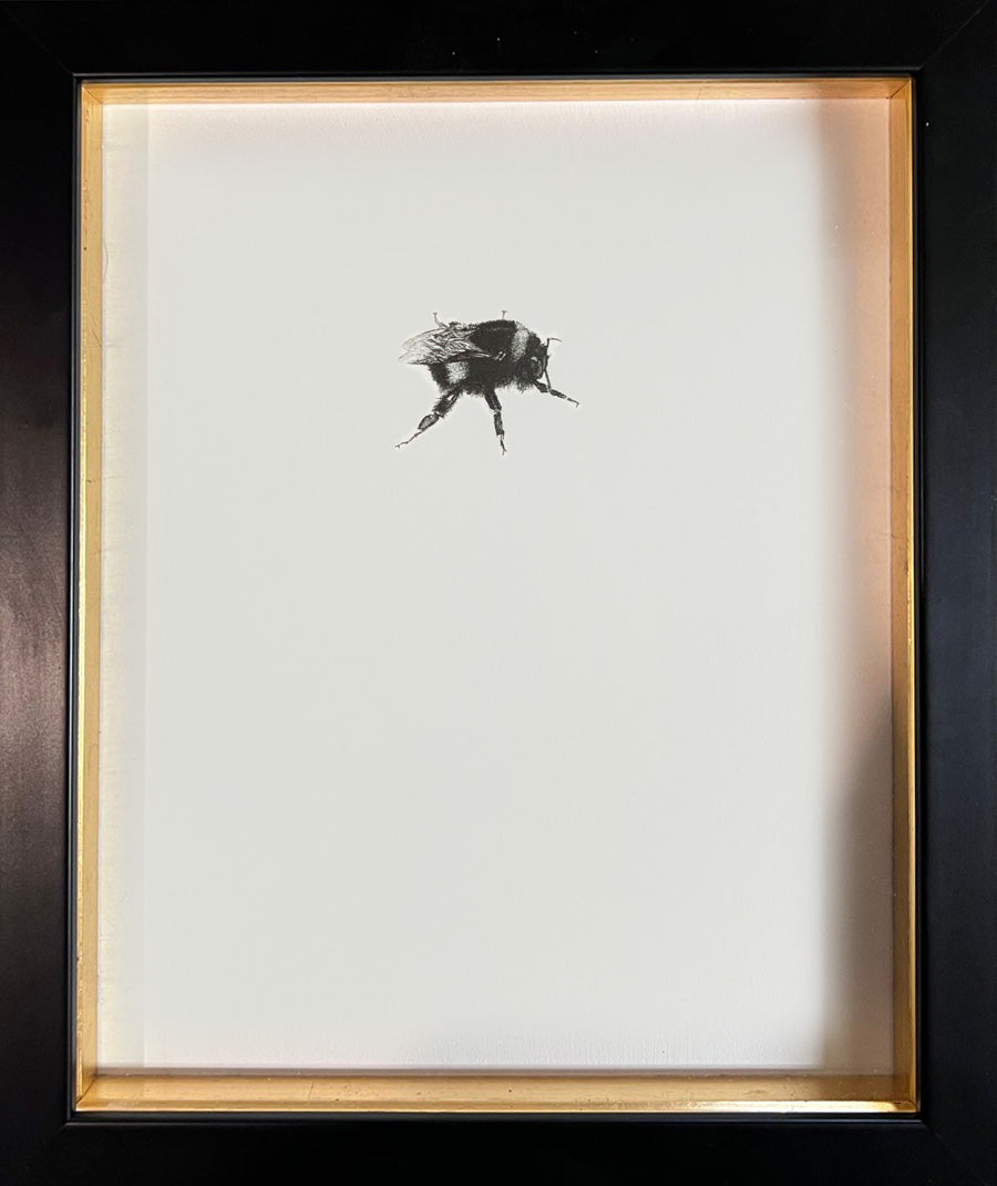 Bumble Bee 5