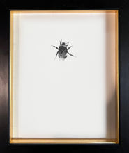 Load image into Gallery viewer, Bumble Bee 6
