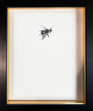 Load image into Gallery viewer, Bumble Bee 7
