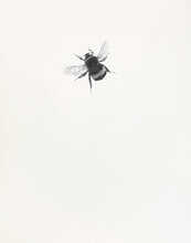 Load image into Gallery viewer, Bumble Bee 9
