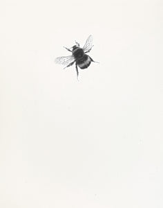 Bumble Bee 9