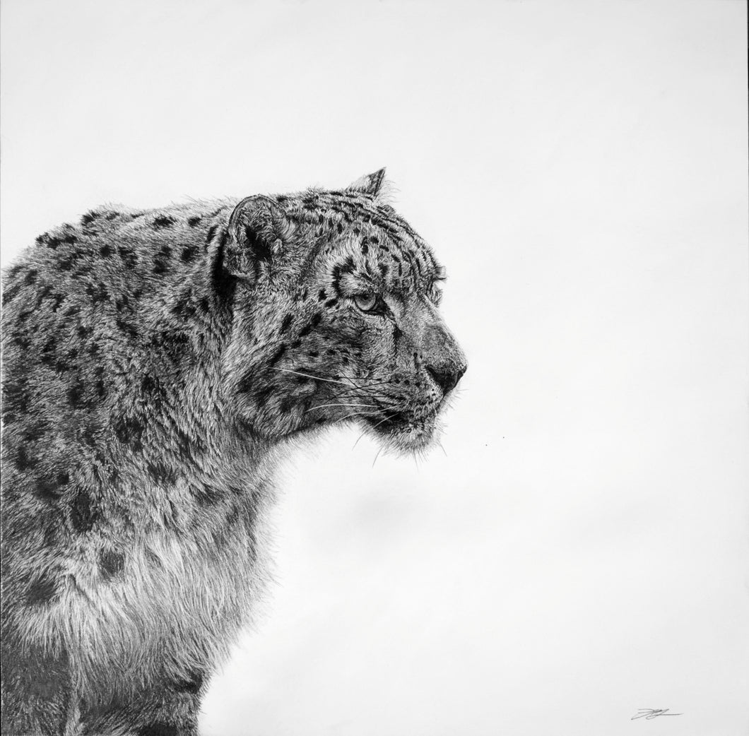 Snow Leopard II