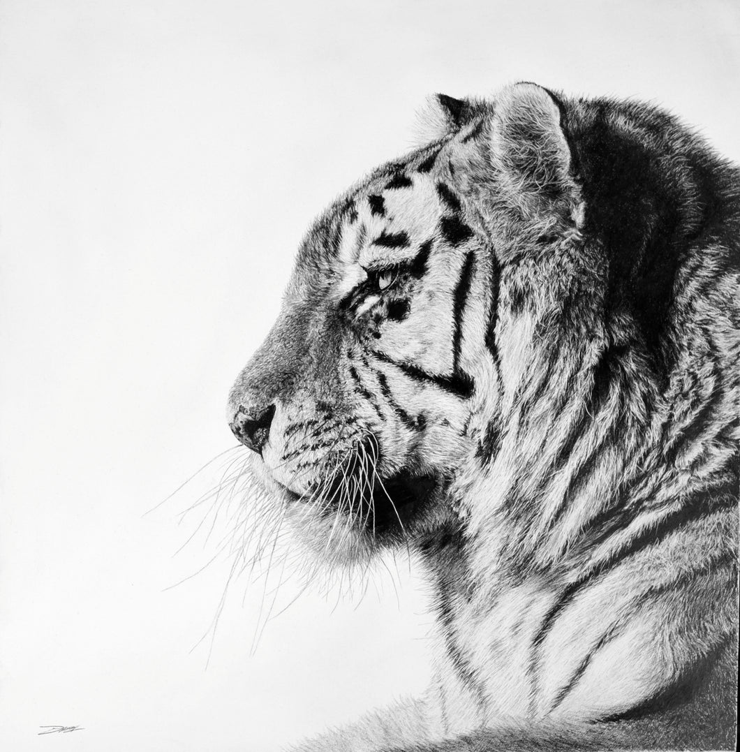 Tiger IV
