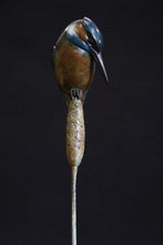 Load image into Gallery viewer, Kingfisher
