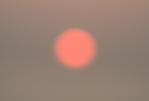 RISE TWENTY THREE