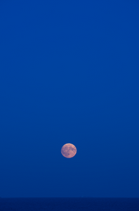Moon One VIII