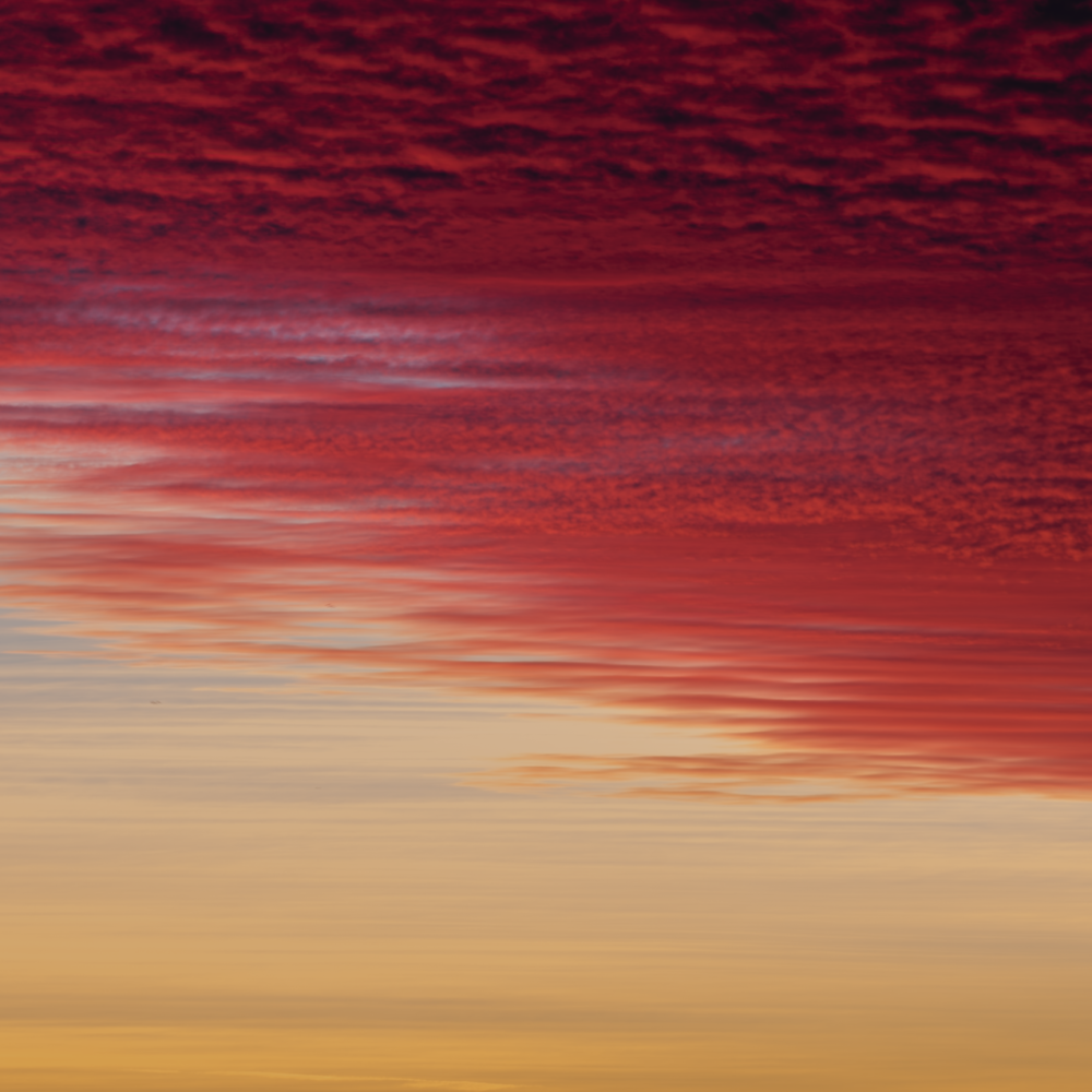 MyCloud No.29