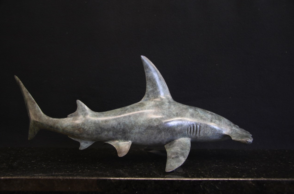Hammer Head Shark on X: 