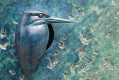 Kingfisher Plaque