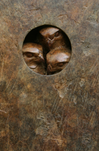 Load image into Gallery viewer, Bronze Hawks Plaque
